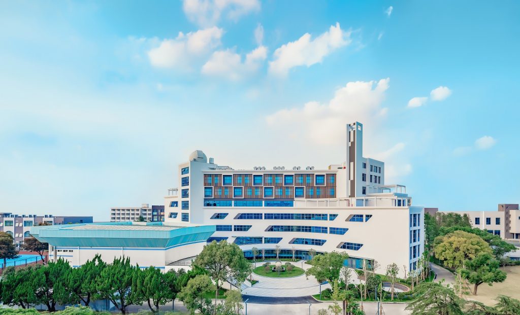 浅析国内的国际学校